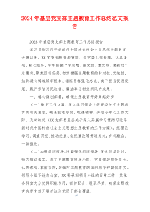 2024年基层党支部主题教育工作总结范文报告
