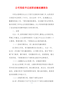 公司党组书记述职述德述廉报告