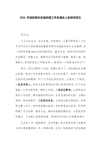 2024 年组织部长在组织部工作务虚会上的讲话范文