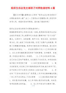 组织生活会党支部班子对照检查材料4篇
