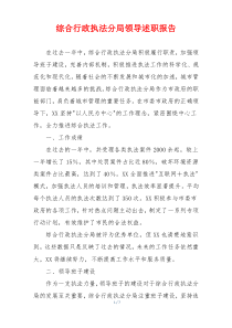 综合行政执法分局领导述职报告