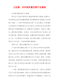 王廷惠：夯实高质量发展产业基础