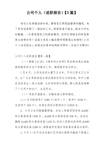 公司个人（述职报告）【5篇】