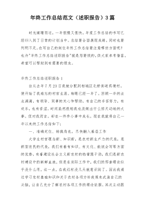 年终工作总结范文（述职报告）3篇