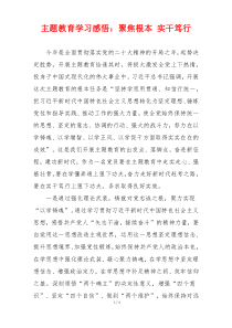 主题教育学习感悟：聚焦根本 实干笃行