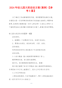 2024年幼儿园大班活动方案(案例)【参考5篇】