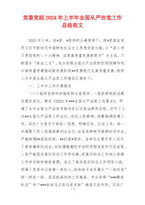 党委党组2024年上半年全面从严治党工作总结范文