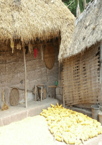 无机非金属材料PPT课件