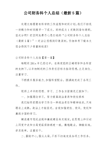 公司财务科个人总结（最新5篇）