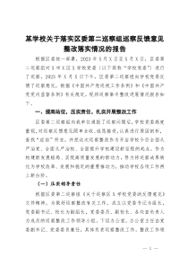 某学校关于落实区委第二巡察组巡察反馈意见整改落实情况的报告