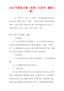 2024年策划方案（实例）计划书（最新5篇）