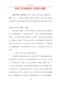 项目工作总结范文【优秀8篇】