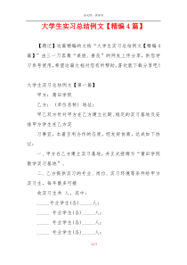 大学生实习总结例文【精编4篇】