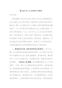 镇2024年人大主席团工作报告