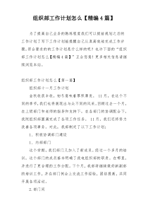 组织部工作计划怎么【精编4篇】