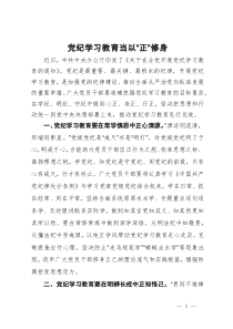 研讨发言材料：党纪学习教育当以“正”修身