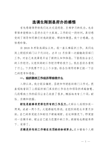 选调生刚到县府办的感悟
