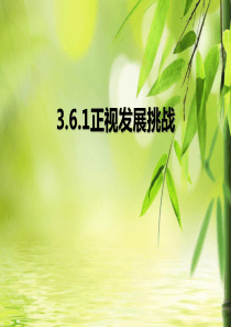 6.1正视发展挑战