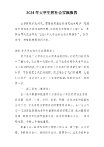 2024年大学生的社会实践报告