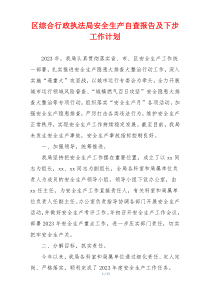 区综合行政执法局安全生产自查报告及下步工作计划