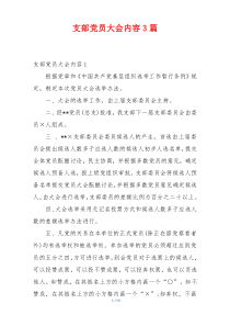 支部党员大会内容3篇