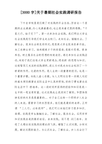 [3000字]关于暑期社会实践调研报告