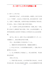 大二的个人工作计划精编4篇