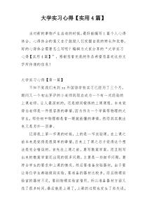 大学实习心得【实用4篇】