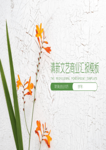 PPT通用模板4