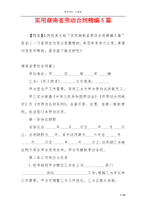 实用湖南省劳动合同精编5篇
