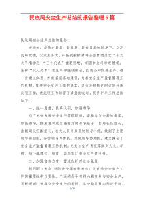 民政局安全生产总结的报告整理5篇