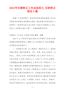 2024年任期转正工作总结范文_任职转正报告5篇
