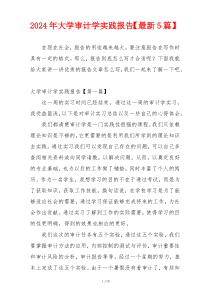 2024年大学审计学实践报告【最新5篇】