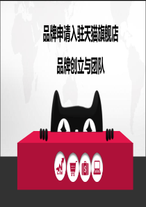 成功入驻天猫品牌运营计划书