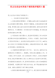 民主生活会对其他干部的批评通用5篇