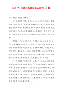 [5000字]社会实践调查报告范例（4篇）