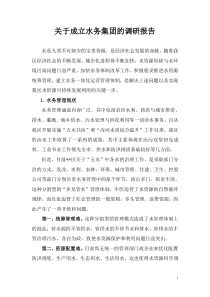 水务集团调研报告