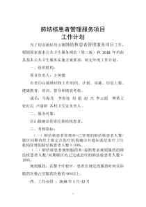 肺结核工作计划