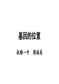 基因在染色体上的位置
