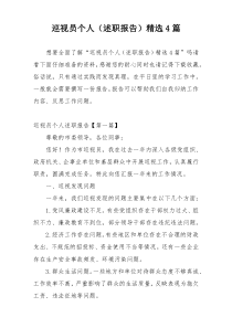 巡视员个人（述职报告）精选4篇