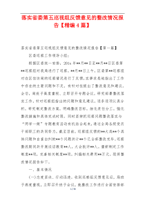落实省委第五巡视组反馈意见的整改情况报告【精编4篇】