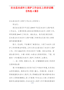 在全县未成年人保护工作会议上的讲话稿【热选4篇】