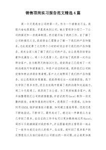 销售顶岗实习报告范文精选4篇