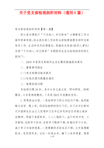 关于党支部检视剖析材料（通用5篇）