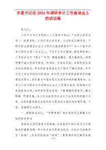 市委书记在2024年调研审计工作座谈会上的讲话稿