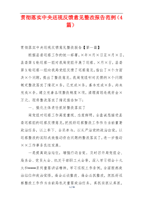 贯彻落实中央巡视反馈意见整改报告范例（4篇）