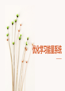 优化我的学习能量系统