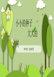 生命教育小小的种子大大的树