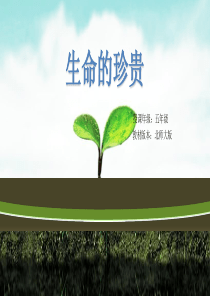 生命的珍贵