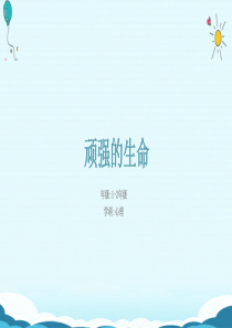 顽强的生命